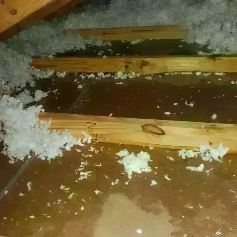 Attic Water Damage in Montpelier, IN